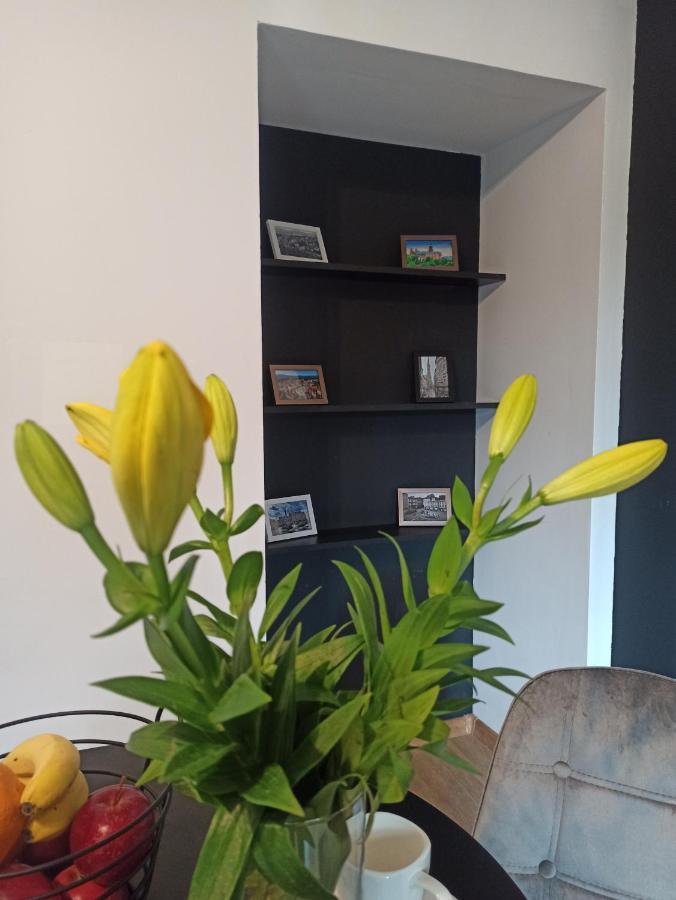 Appartamento Cztery Katy W Rynku Wałbrzych Esterno foto